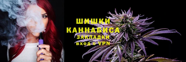 амф Гусиноозёрск