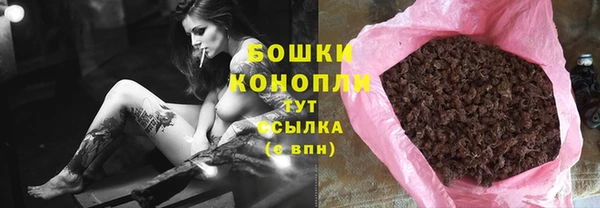 амф Гусиноозёрск