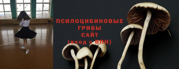 амф Гусиноозёрск