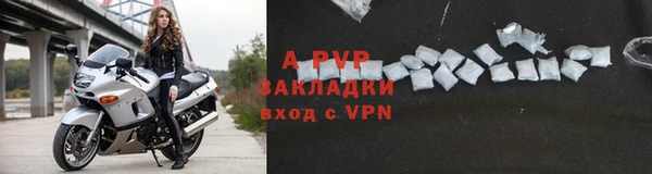 амф Гусиноозёрск