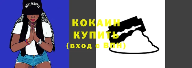 кокаин колумбия Гусев