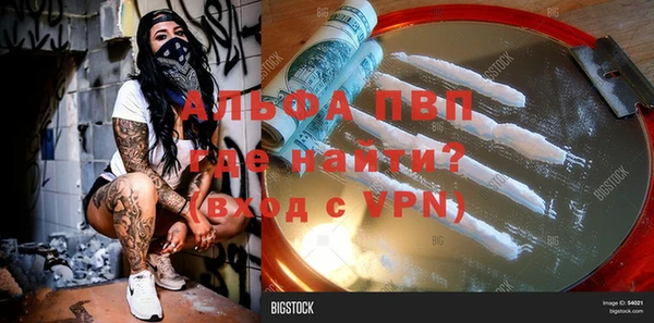 амф Гусиноозёрск