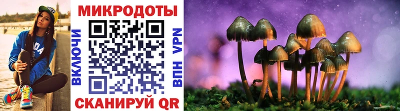 Купить где  Кондопога  Галлюциногенные грибы Psilocybine cubensis 
